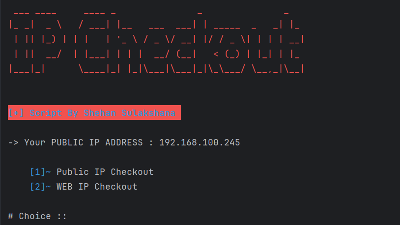 IP Lookup project preview